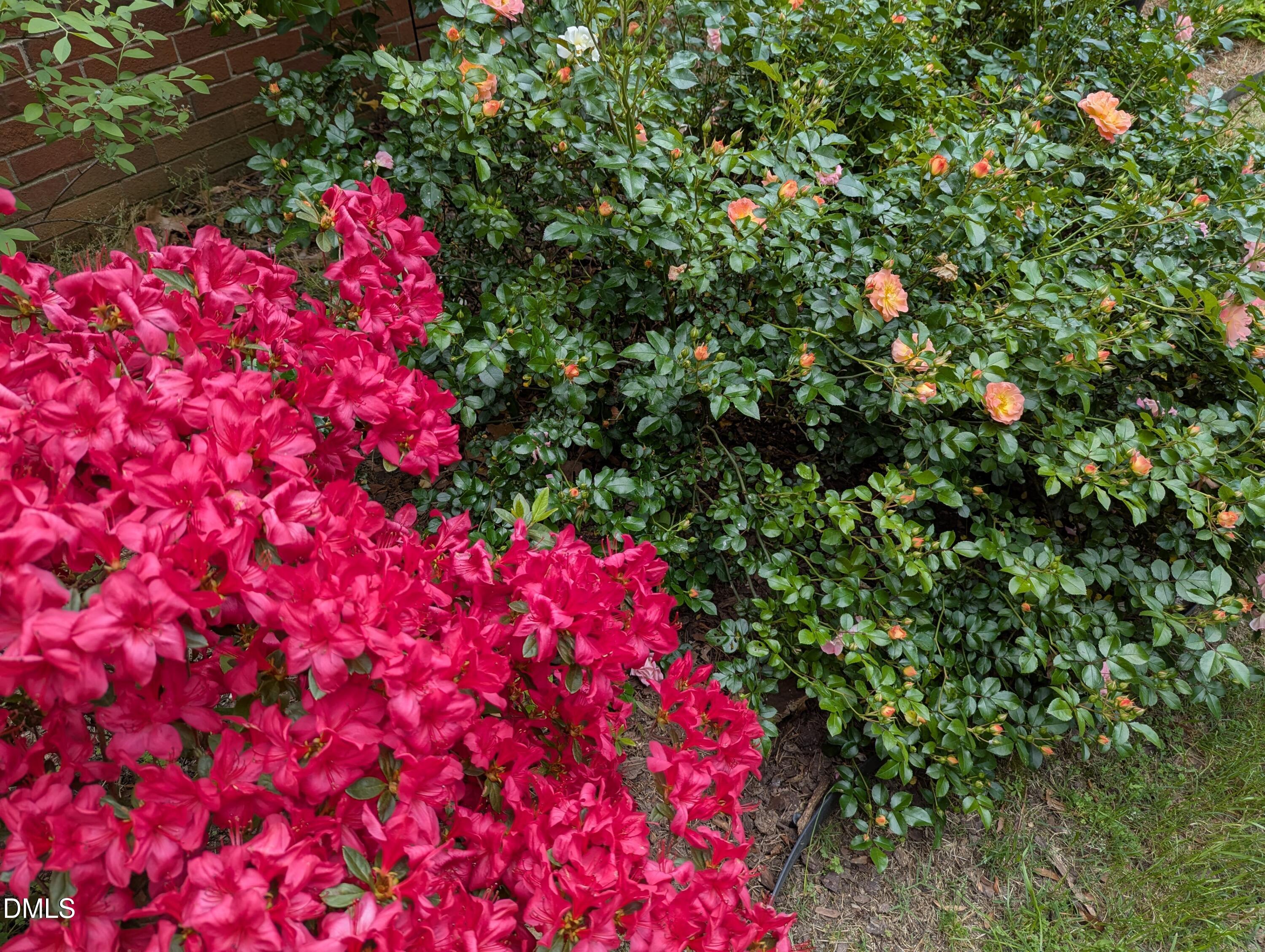 215 East Branch Street Spring Hope, NC 27882 - Photo 46 of 61