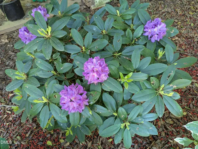 $275,000 | 215 East Branch Street, Spring Hope, NC 27882