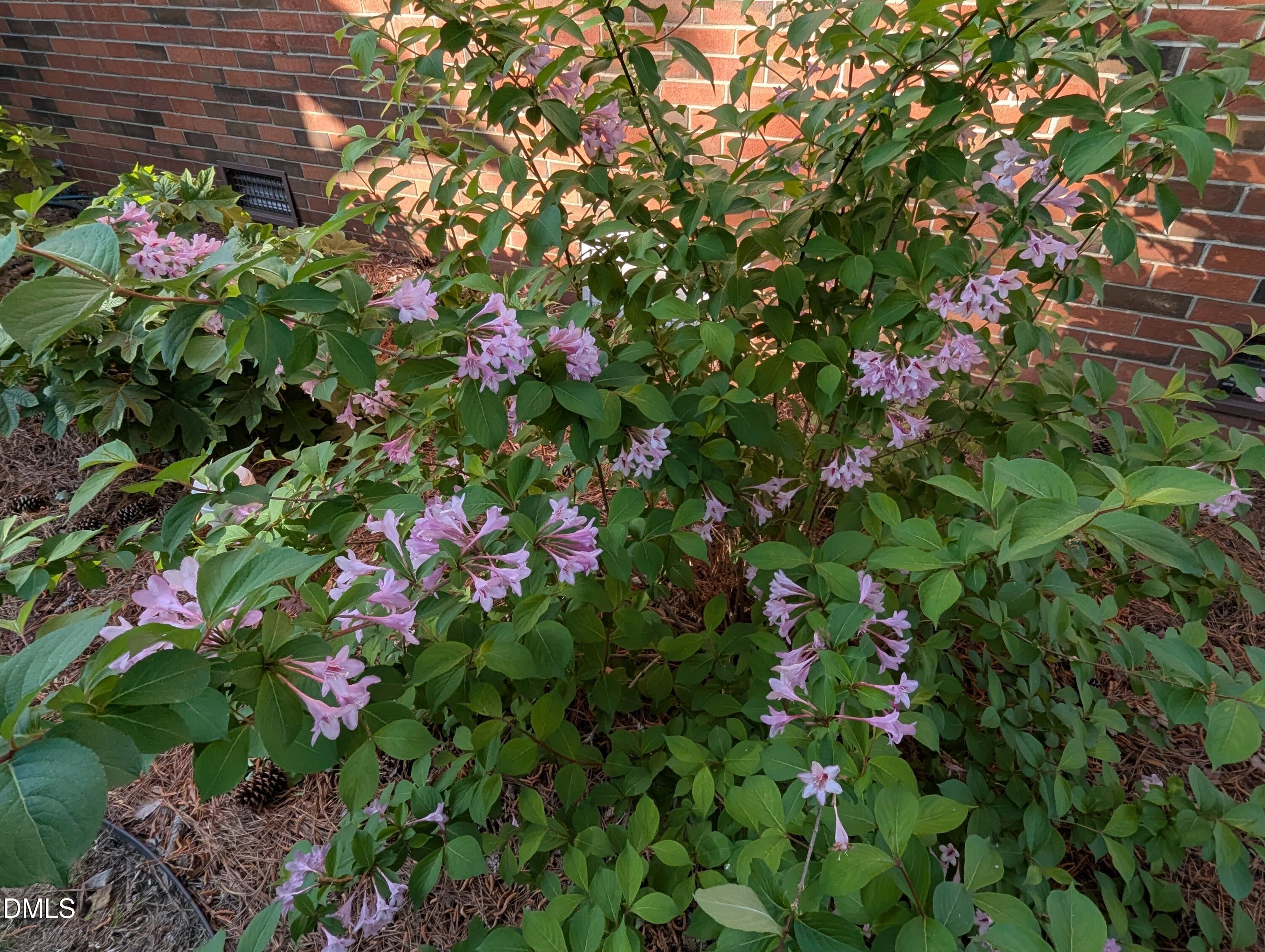 215 East Branch Street Spring Hope, NC 27882 - Photo 48 of 61 51