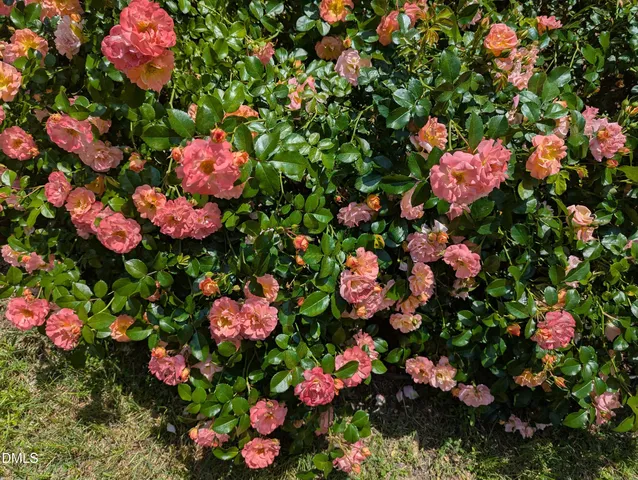 $275,000 | 215 East Branch Street, Spring Hope, NC 27882