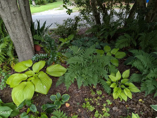 $275,000 | 215 East Branch Street, Spring Hope, NC 27882