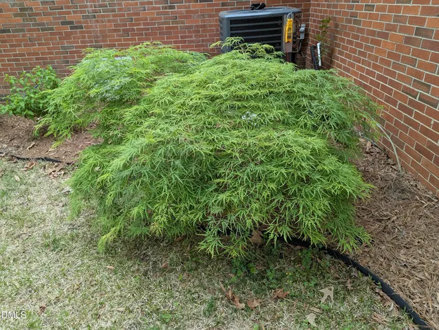 $275,000 | 215 East Branch Street, Spring Hope, NC 27882