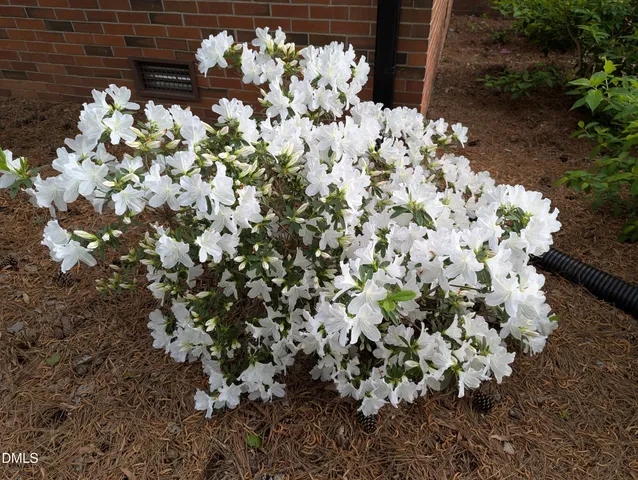 $275,000 | 215 East Branch Street, Spring Hope, NC 27882