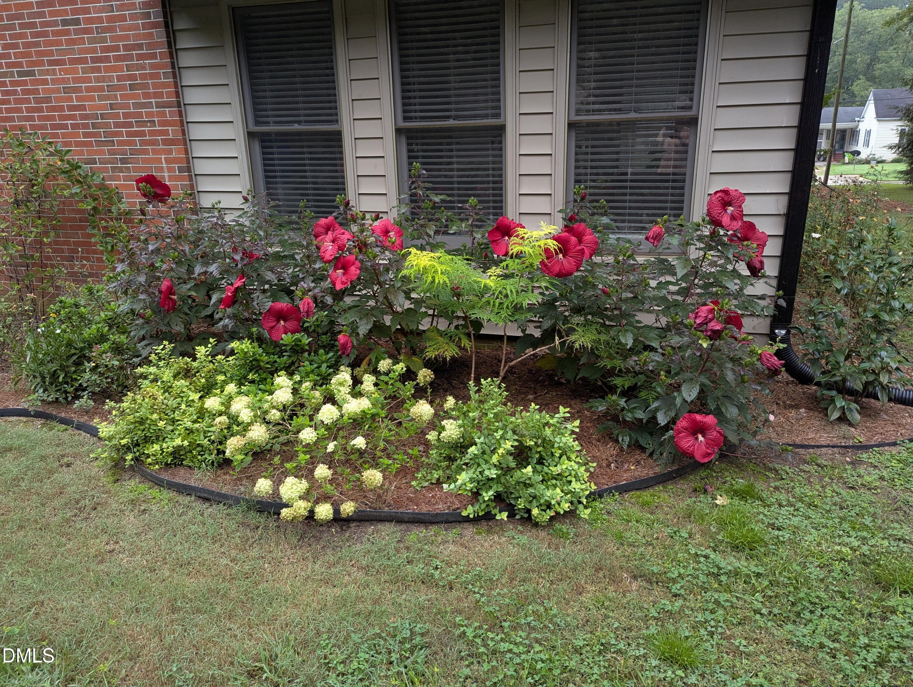 215 East Branch Street Spring Hope, NC 27882 - Photo 5 of 61 57