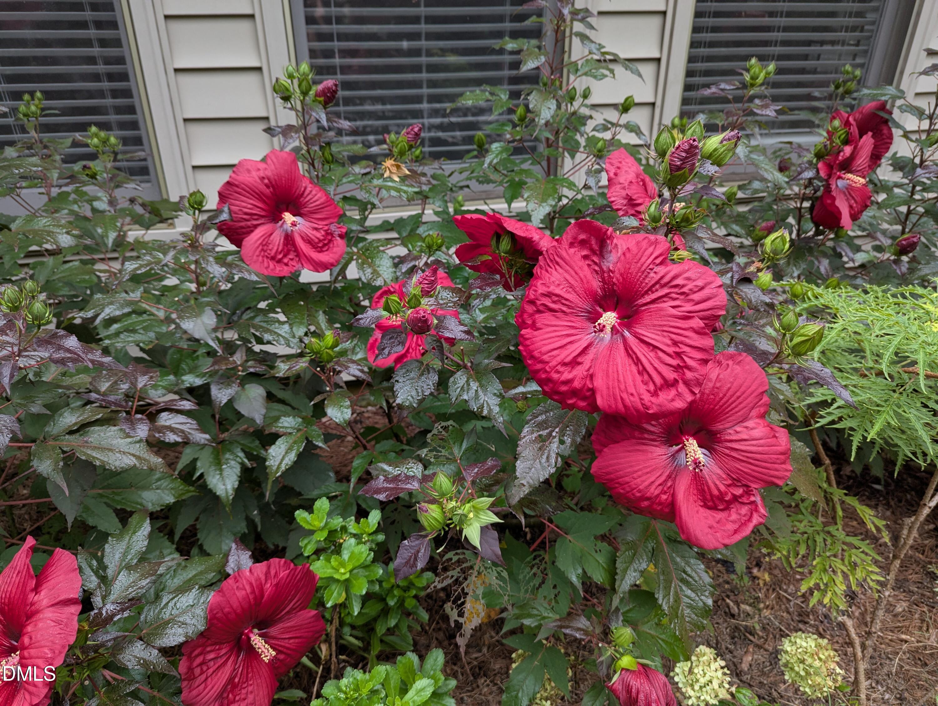 215 East Branch Street Spring Hope, NC 27882 - Photo 7 of 61