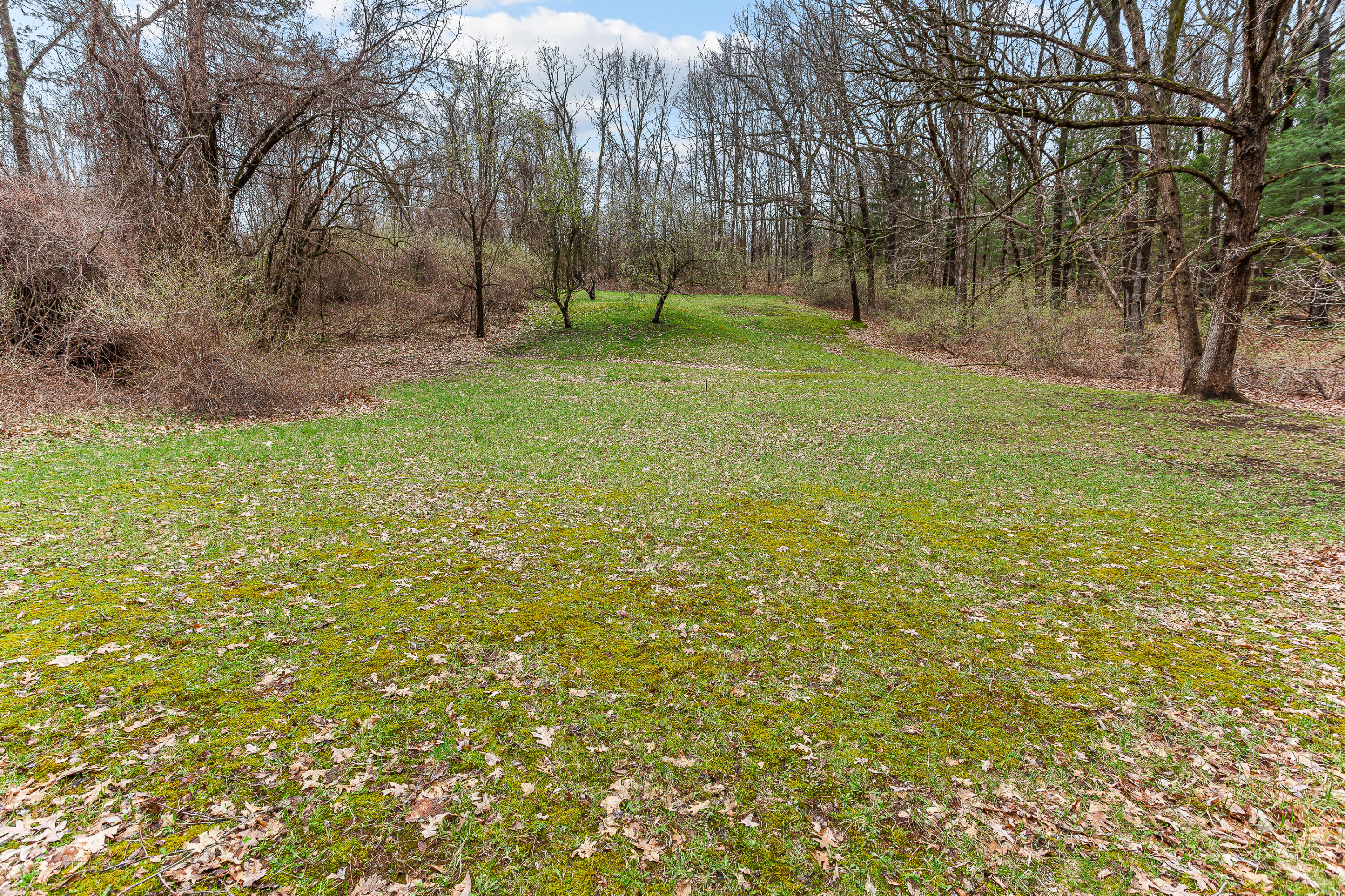 250 Scottshill Road Milford, MI 48381 - Photo 14 of 43 IMG_2395