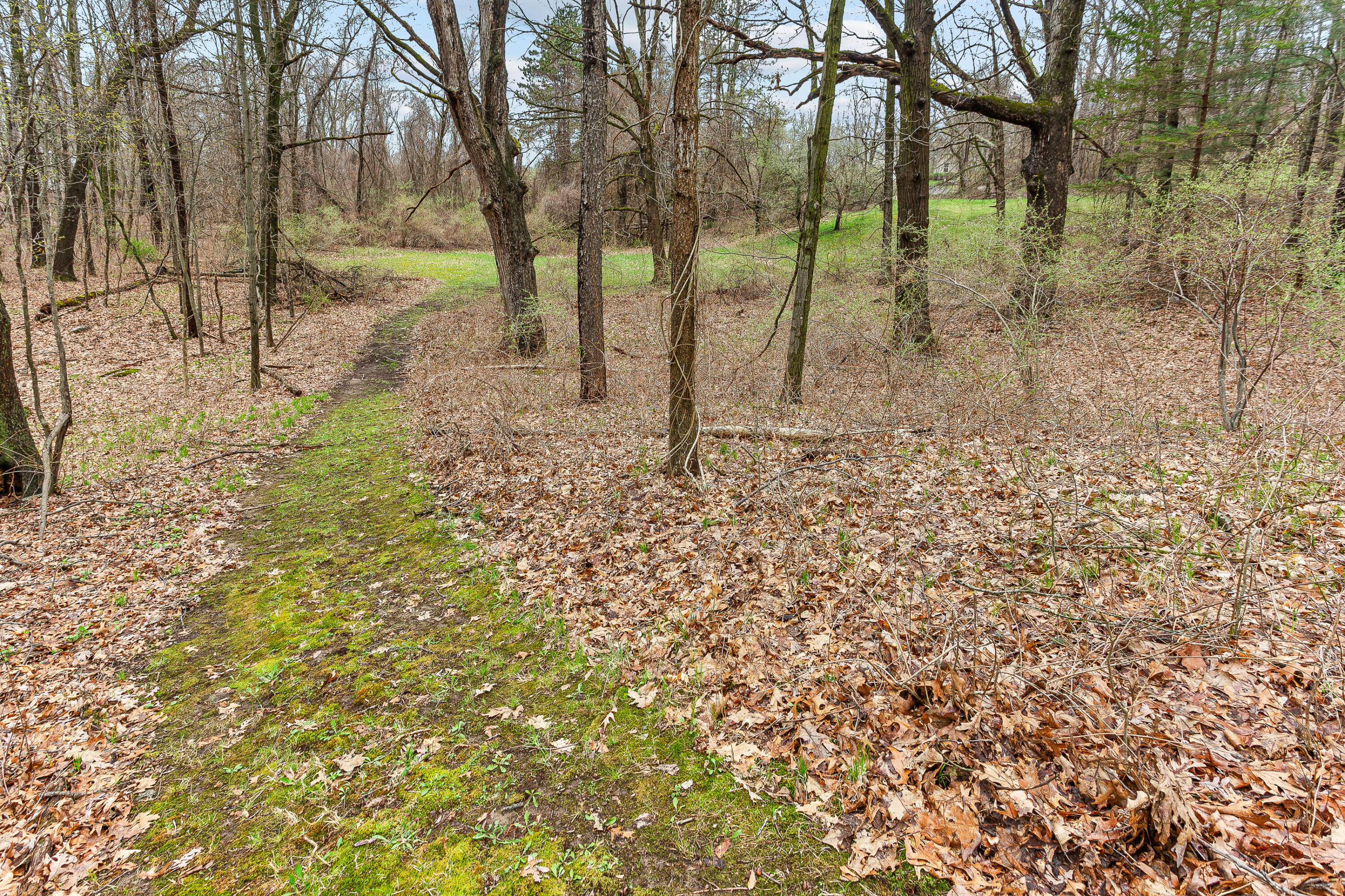 250 Scottshill Road Milford, MI 48381 - Photo 15 of 43 IMG_2396