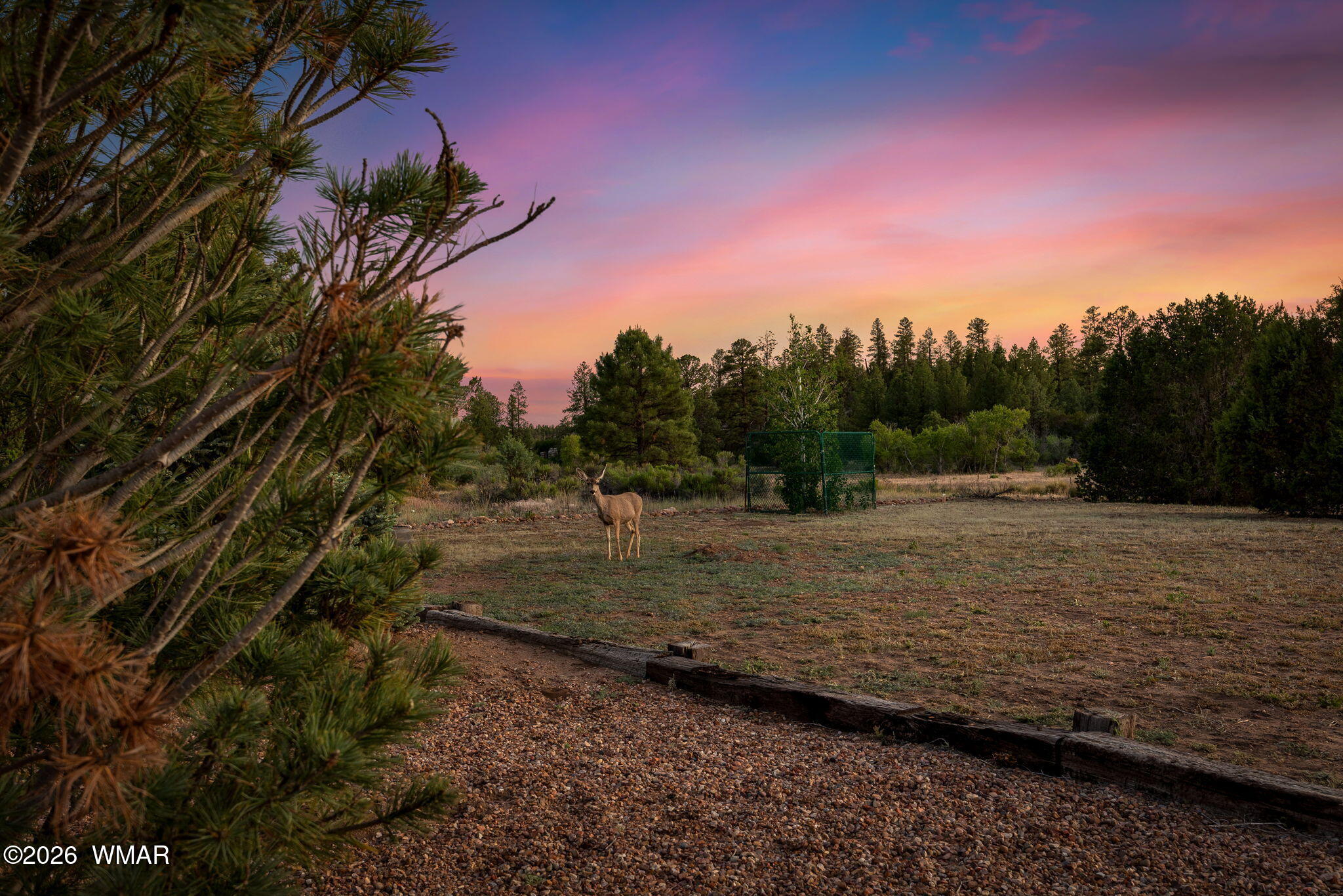 2868 South Meadow Road Heber, AZ 85928 - Photo 50 of 63