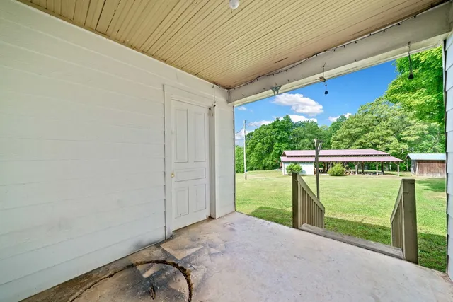 a view of a backyard with a garden and plants
