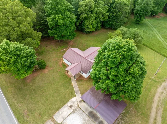 a view of a garden with a tree