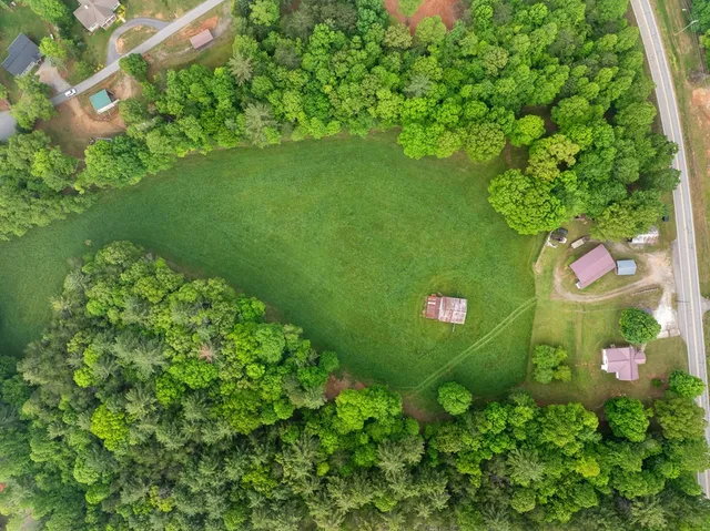 a view of a backyard with plants and large trees