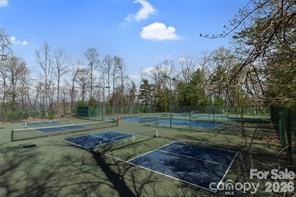 115 Chestnut Ridge Road Mills River, NC 28759 - Photo 46 of 48
