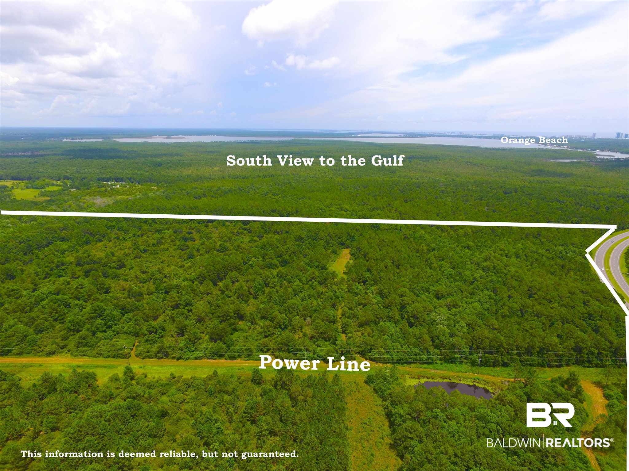 0 Baldwin Beach Expressway Gulf Shores, AL 36542 - Photo 3 of 11