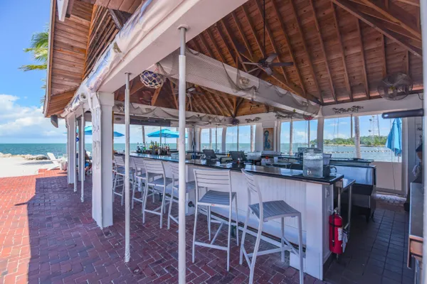 a view of a garden with palm trees