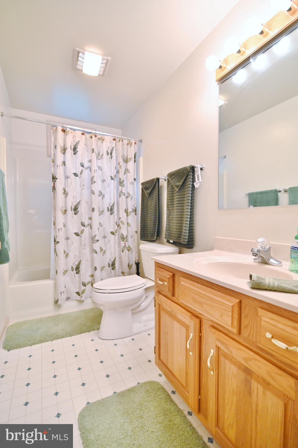 4399 Supinlick Ridge Road Mount Jackson, VA 22842 - Photo 42 of 58 Main level hall bath