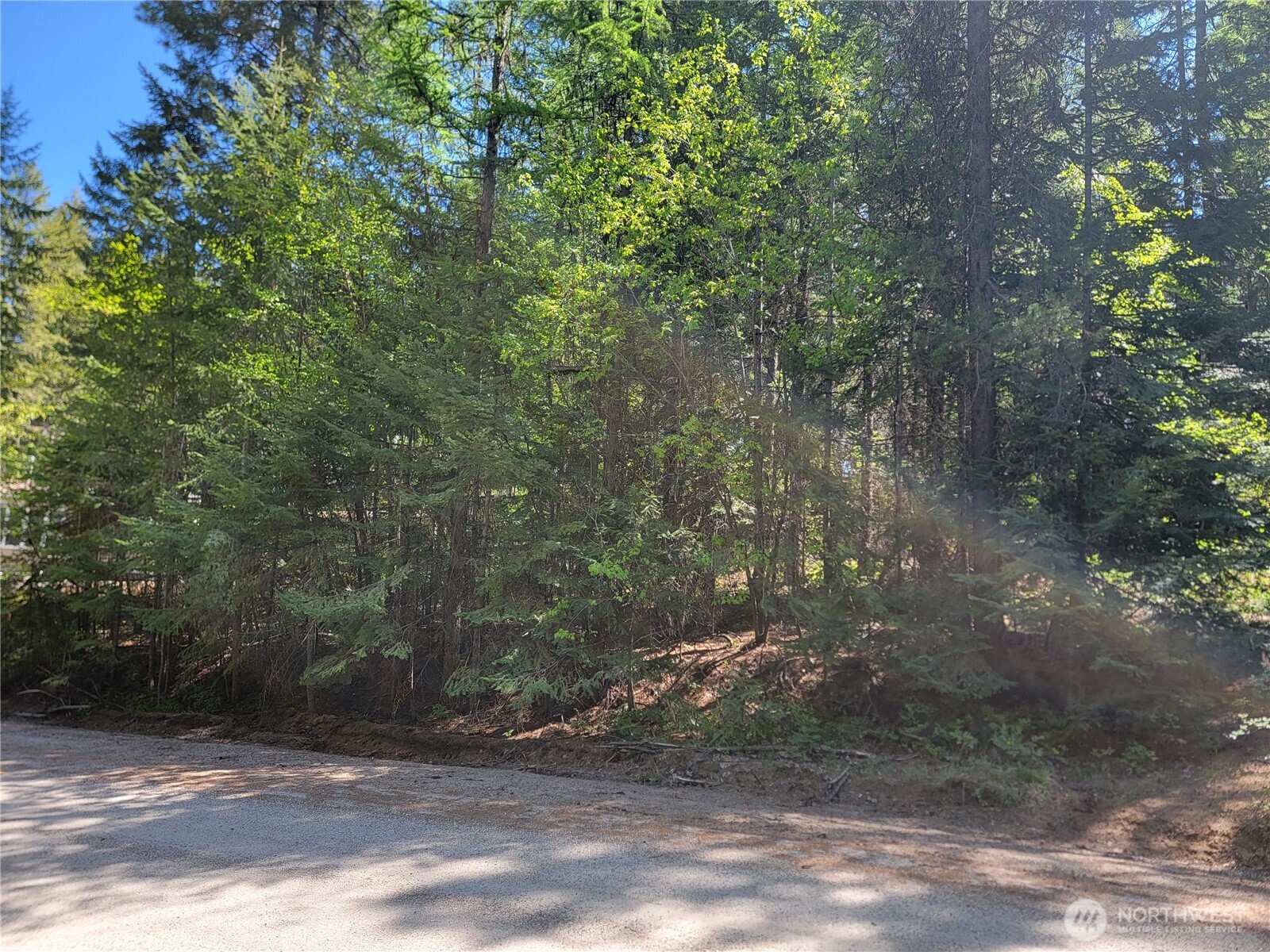 263 Twin Lakes Road Inchelium, WA 99138 - Photo 11 of 11 a view of a yard with plants and trees