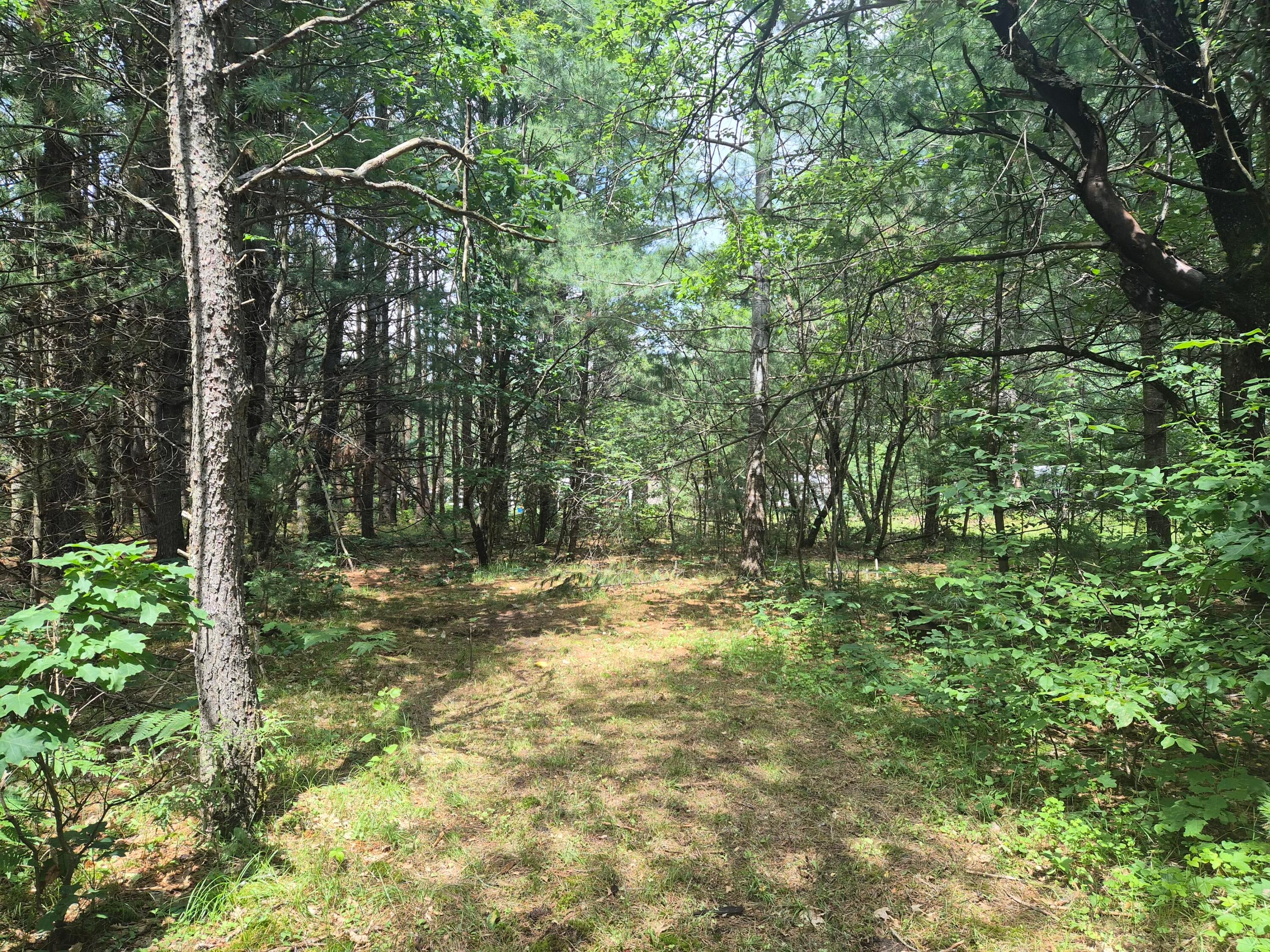 10831 South Grayling Road Roscommon, MI 48653 - Photo 167 of 168 Gallery Image 167