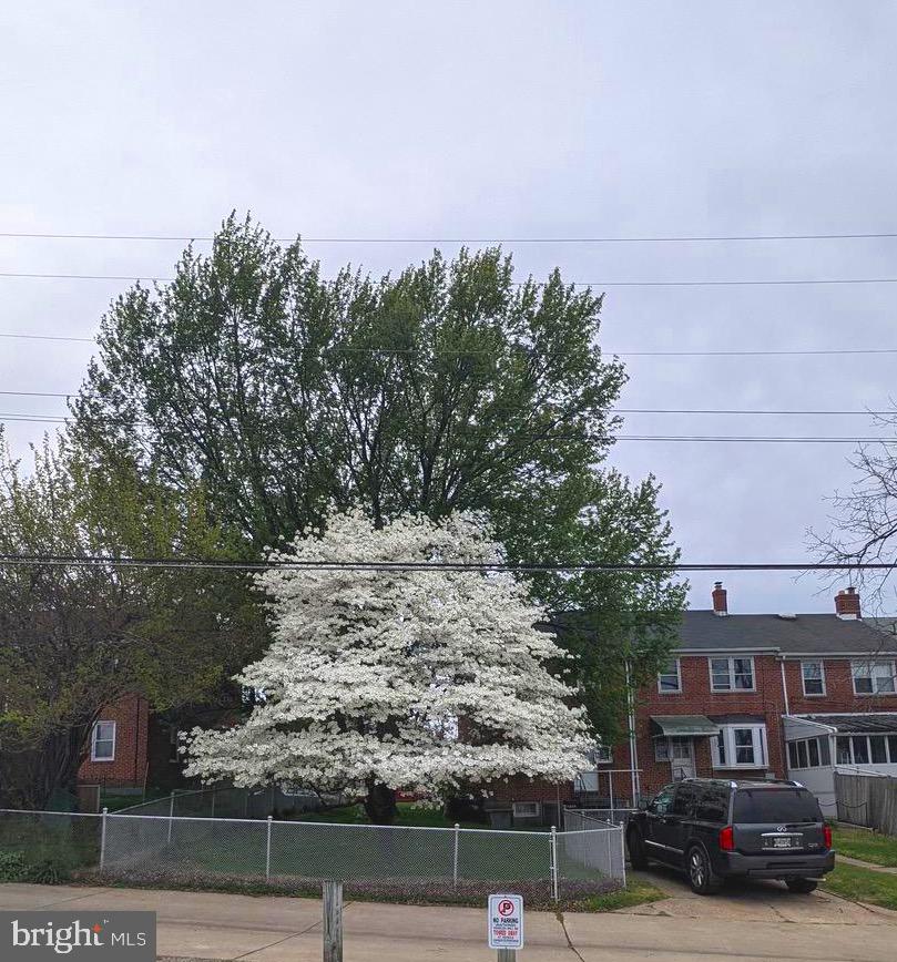 7325 Stratton Way Baltimore, MD 21224 - Photo 50 of 50 Dogwood tree in bloom!