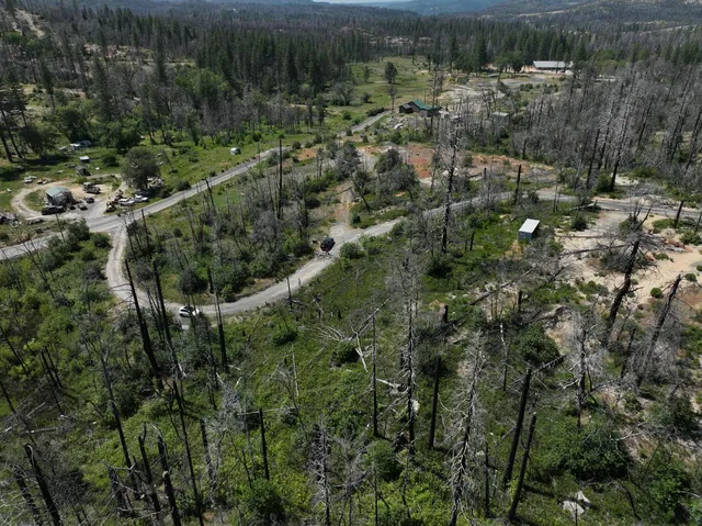 a view of a forest with a forest