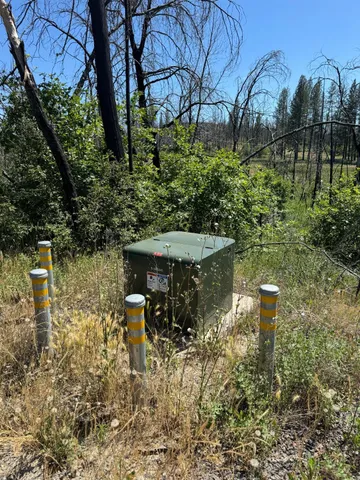 a view of a garden with plants