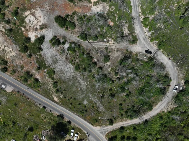 a view of a green field with plants