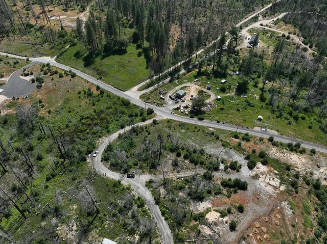 view of a forest with a forest