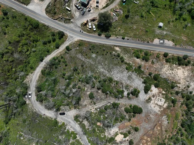 a view of a yard with a tree