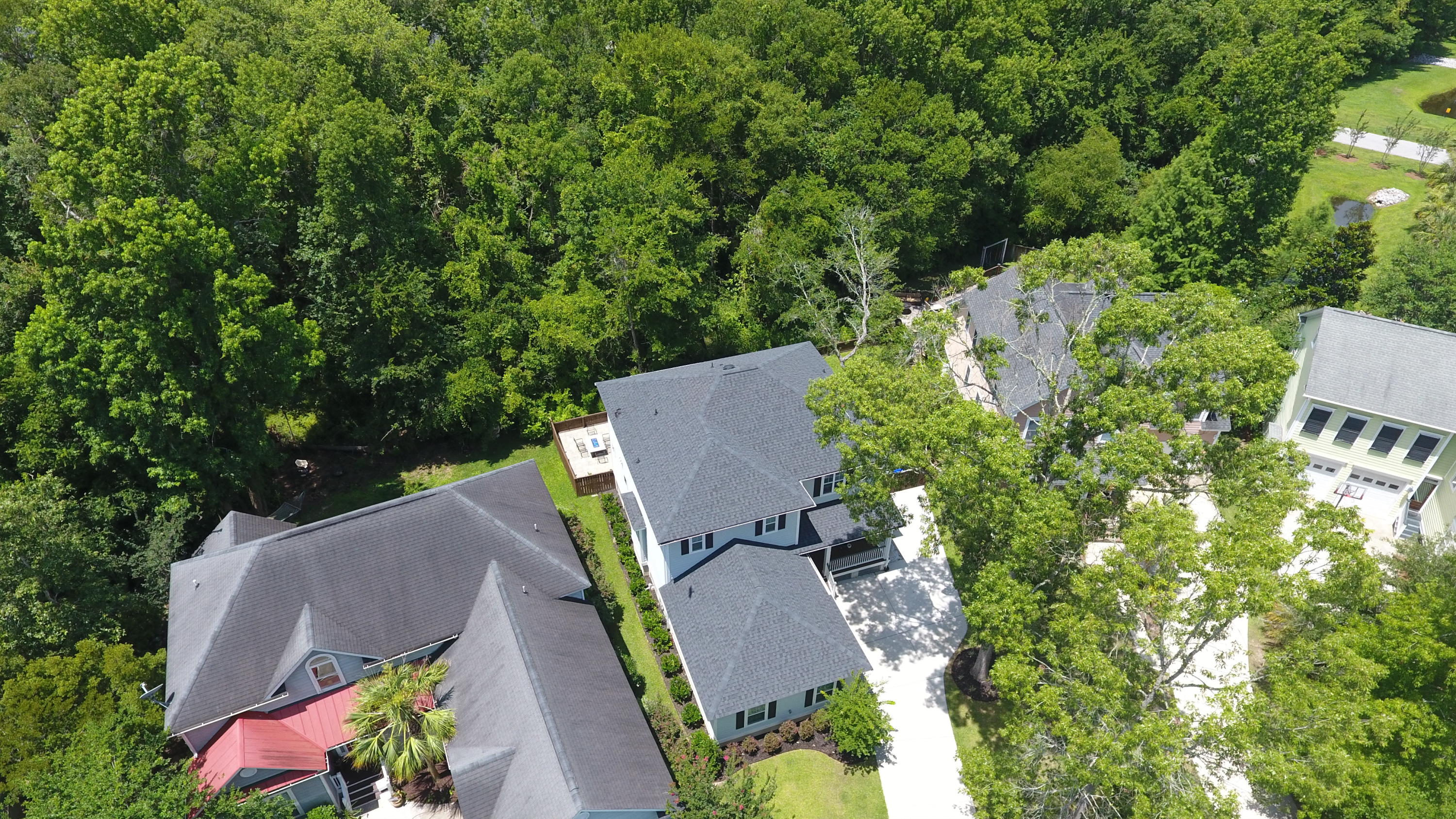 1127 Quick Rabbit Loop Charleston, SC 29414 - Photo 38 of 40 DJI_0004