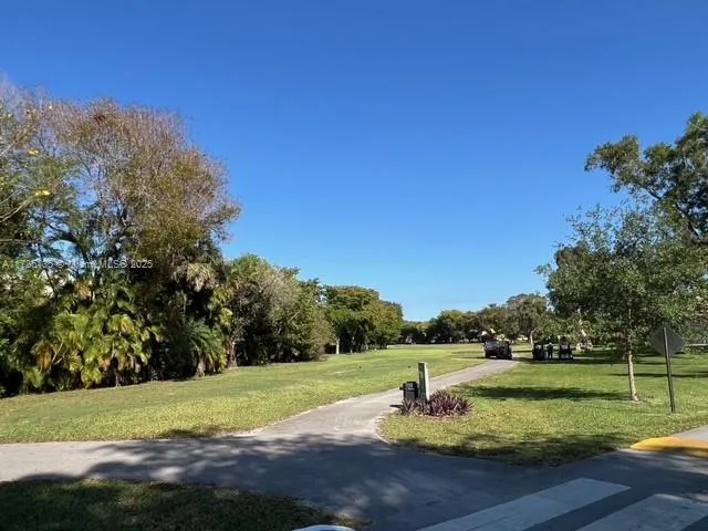 a view of a park with large trees