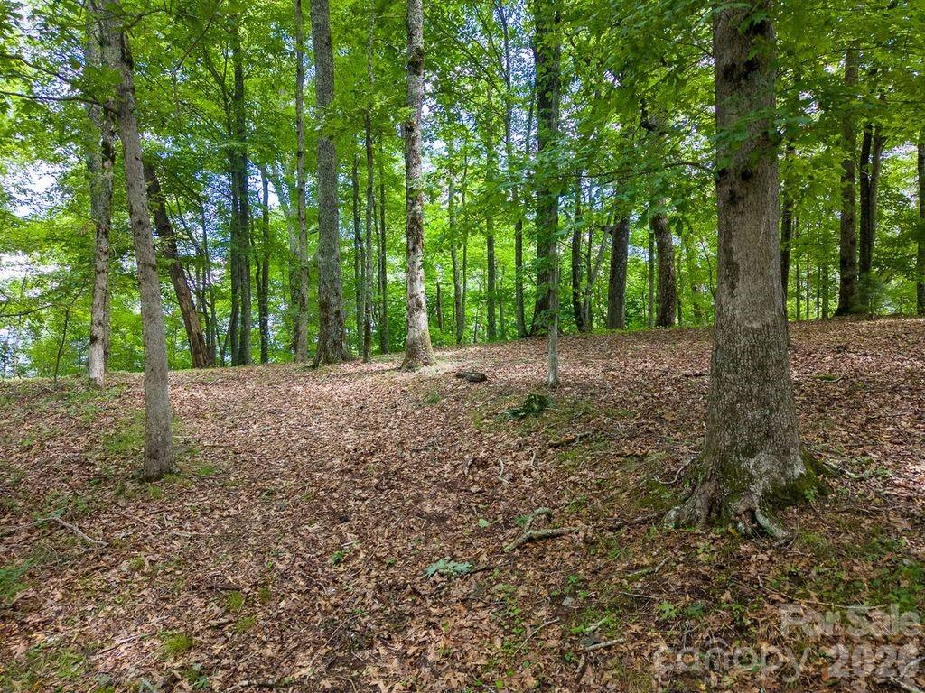 752 Shepherds Gap Road, Unit 28 Cullowhee, NC 28723 - Photo 9 of 17 Gallery Image 9