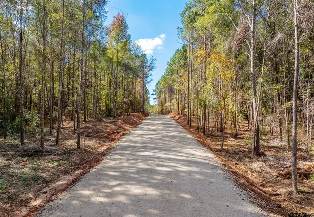 a view of a street with trees beside of it