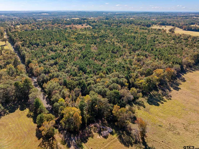a view of a city with mountain