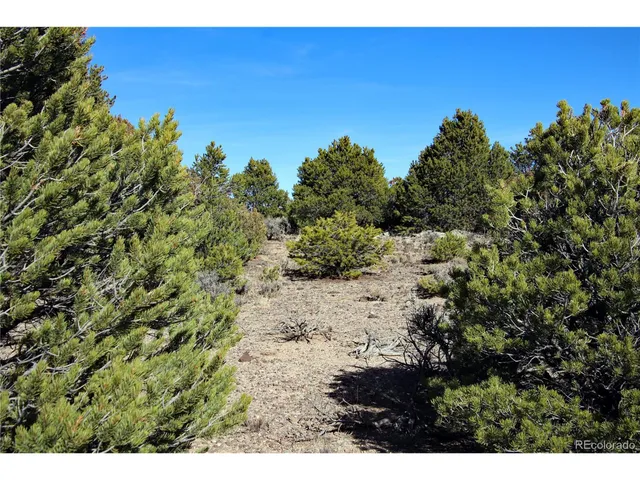 $19,400 | 67 Alta Mesa Drive, San Luis, CO 81152