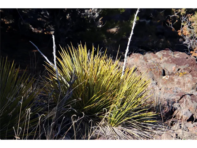 $19,400 | 67 Alta Mesa Drive, San Luis, CO 81152