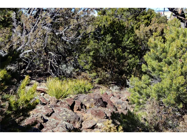 $19,400 | 67 Alta Mesa Drive, San Luis, CO 81152