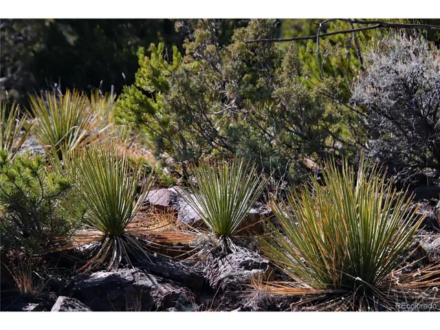 $19,400 | 67 Alta Mesa Drive, San Luis, CO 81152