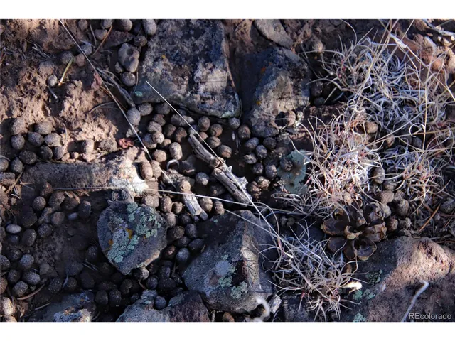 $19,400 | 67 Alta Mesa Drive, San Luis, CO 81152