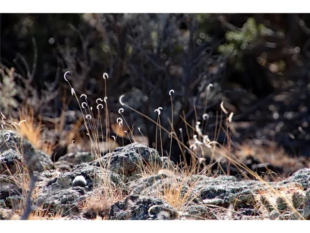 $19,400 | 67 Alta Mesa Drive, San Luis, CO 81152