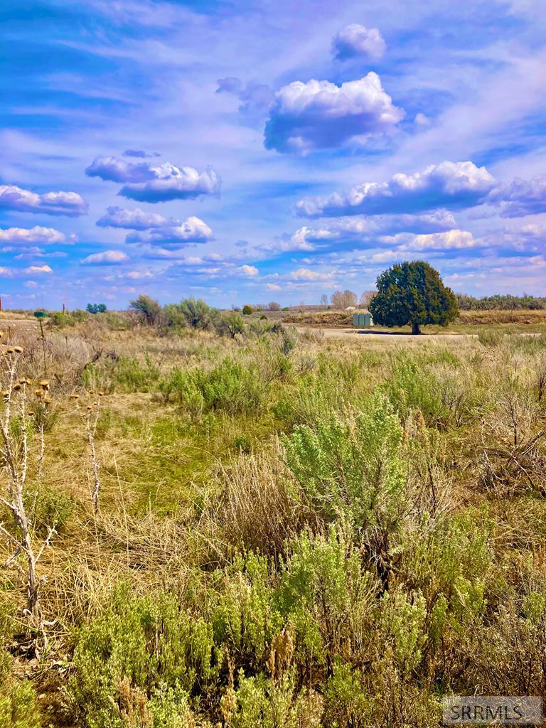 2990 Edgewater Lane St. Anthony, ID 83445 - Photo 21 of 39
