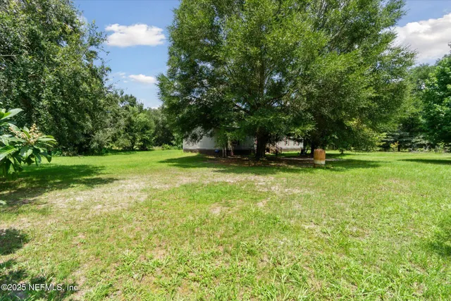a view of a park with large trees