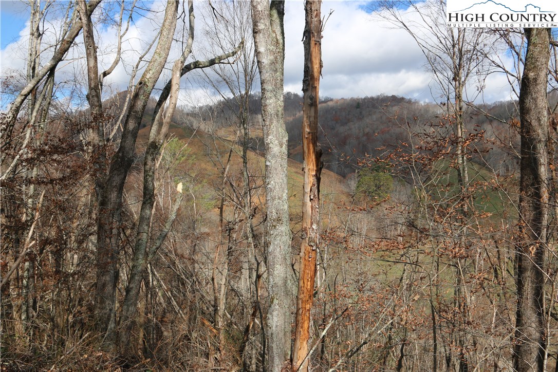 Big Laurel Road Creston, NC 28615 - Photo 11 of 27 a view of a yard