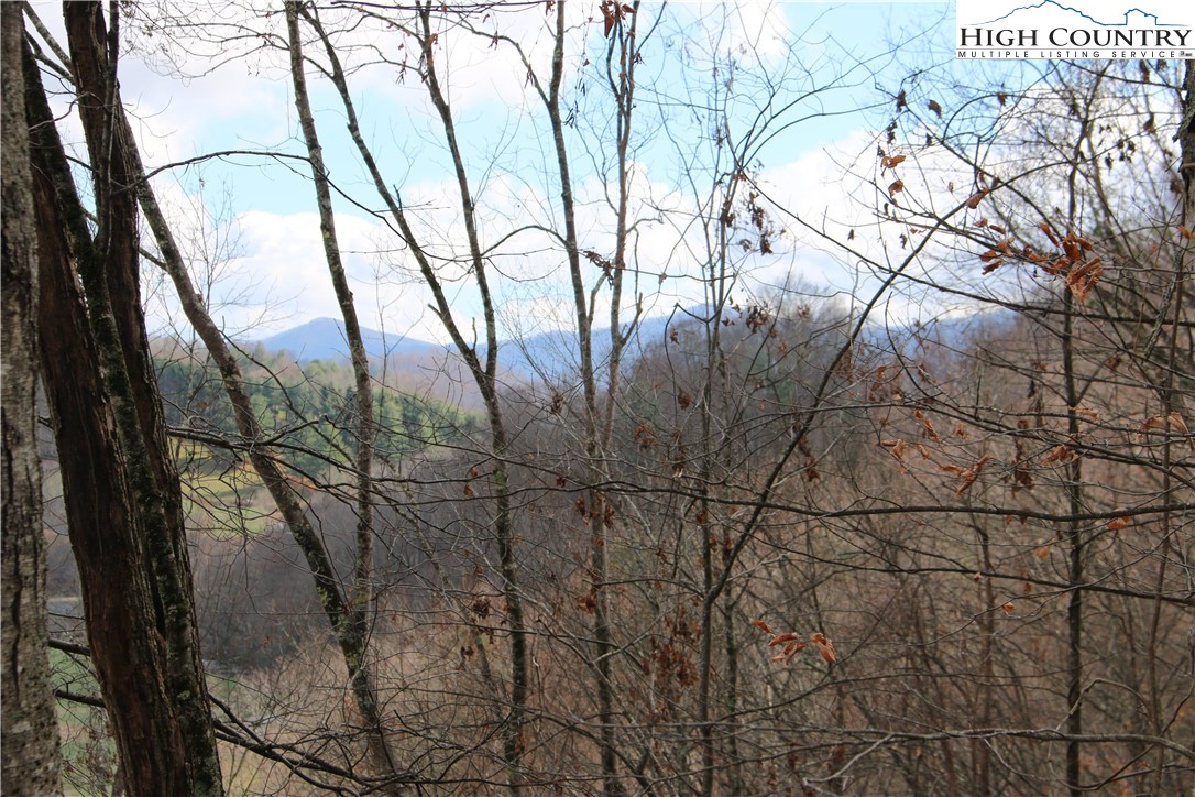 Big Laurel Road Creston, NC 28615 - Photo 12 of 27 a view of trees in a yard