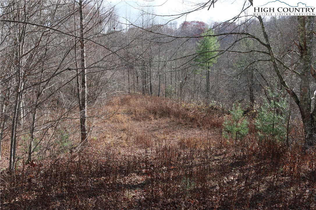 Big Laurel Road Creston, NC 28615 - Photo 13 of 27 a view of a yard