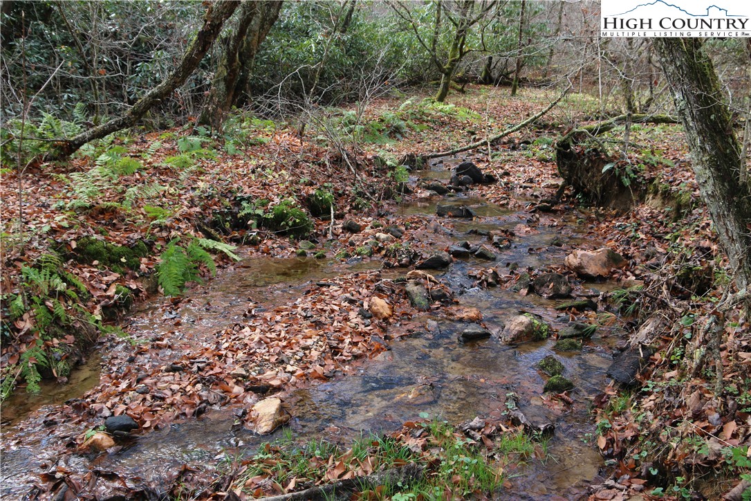 Big Laurel Road Creston, NC 28615 - Photo 15 of 27 a view of a yard with plants and trees