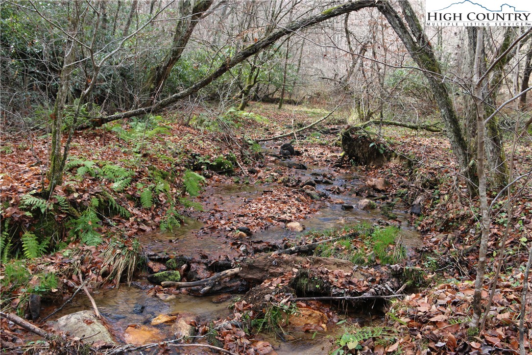 Big Laurel Road Creston, NC 28615 - Photo 16 of 27 a view of a yard with plants and trees