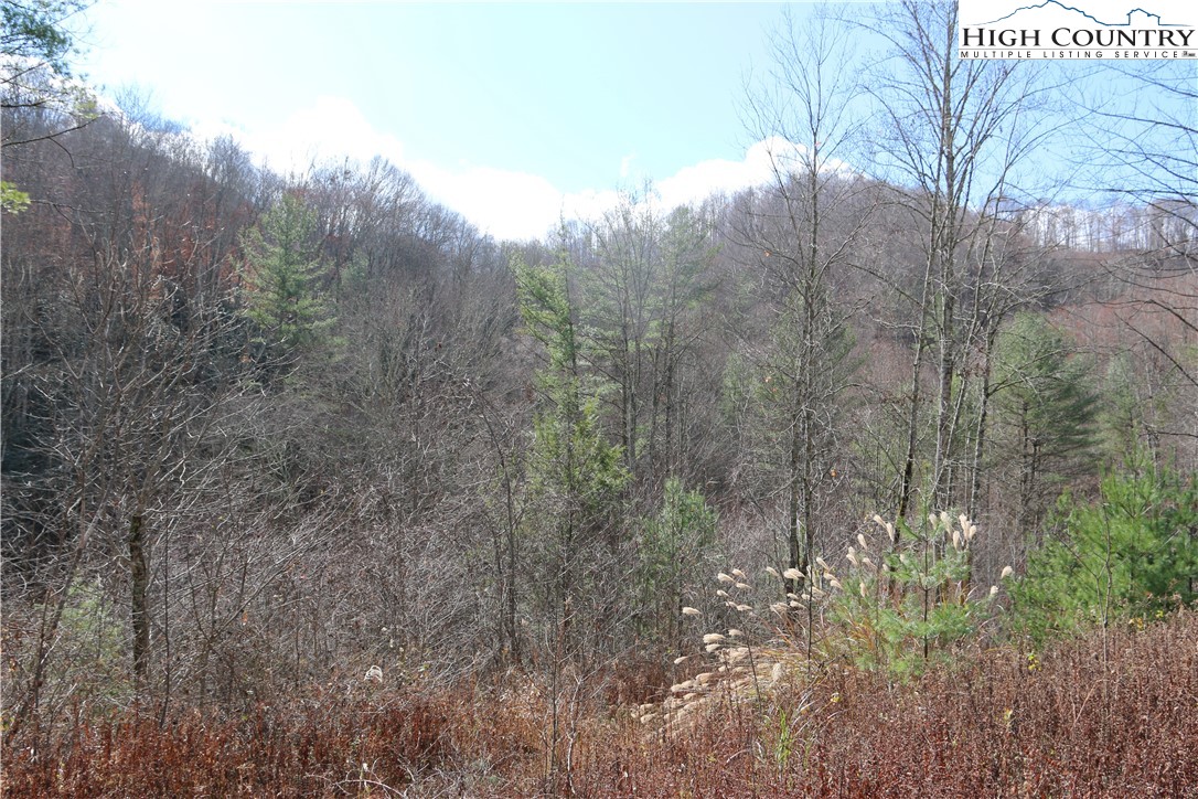 Big Laurel Road Creston, NC 28615 - Photo 19 of 27