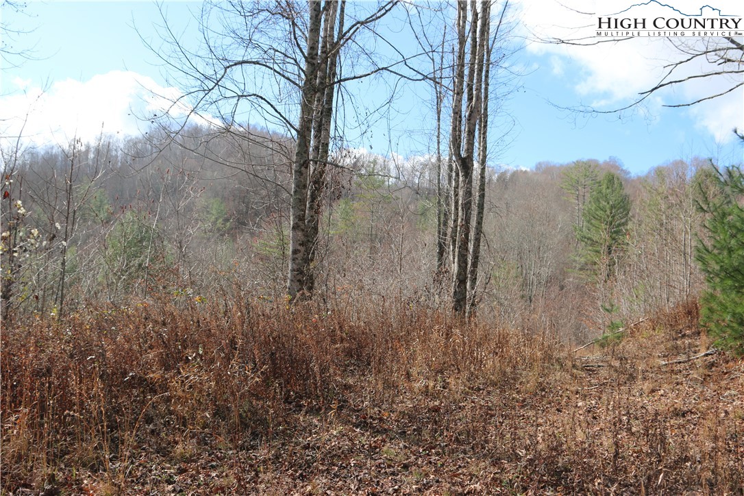 Big Laurel Road Creston, NC 28615 - Photo 21 of 27 a view of a yard