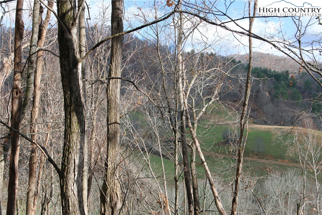 Big Laurel Road Creston, NC 28615 - Photo 22 of 27 a backyard of a house with lots of green space