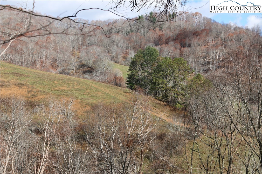 Big Laurel Road Creston, NC 28615 - Photo 23 of 27 a view of a dry yard with trees and wooden fence