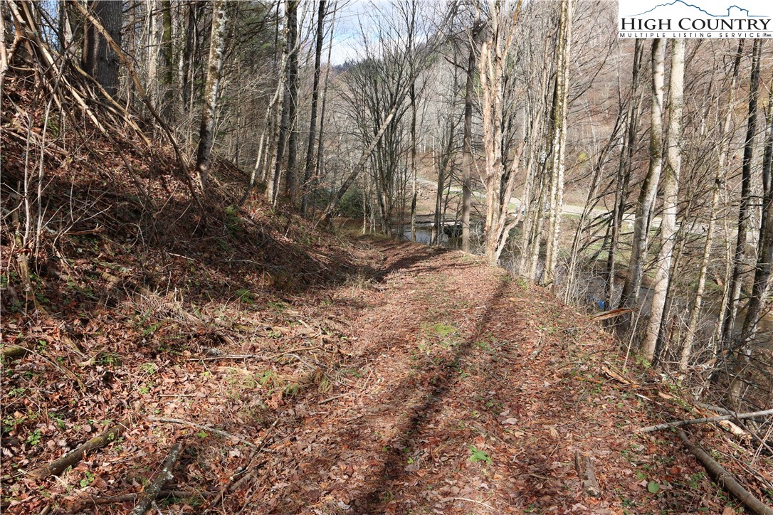 Big Laurel Road Creston, NC 28615 - Photo 8 of 27 a view of backyard with green space